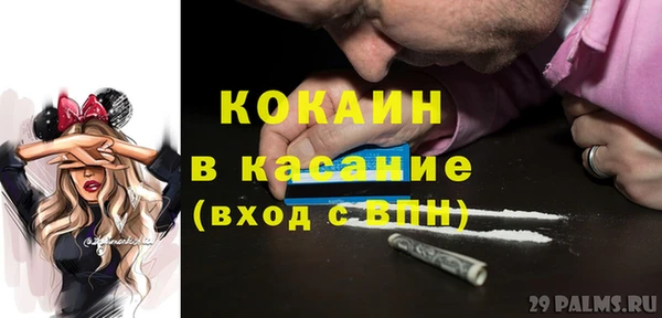 прущие грибы Баксан