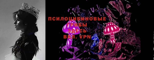 прущие грибы Баксан