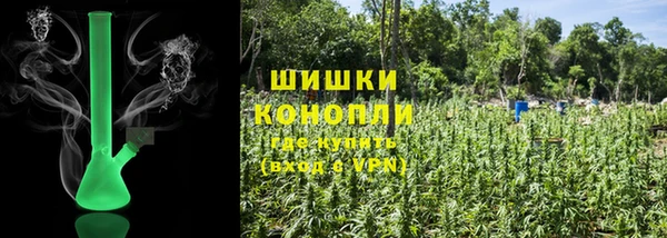 прущие грибы Баксан